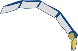 CC11 - PASSE-TUBE